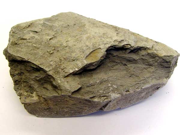 ҳ��˫�����������Ч����ô����