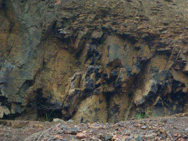 �̿�ѡ���豸��ϴ��ɸ�ֹ���