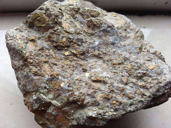 ����ѡ����