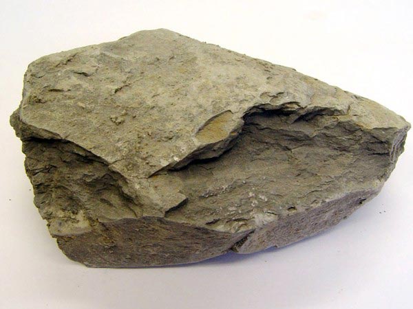 ҳ������