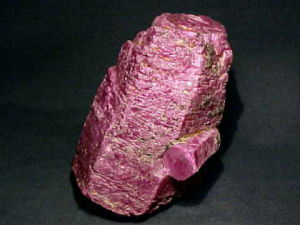 ����Թ������|��������������