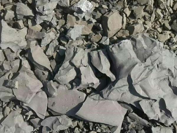 �����������ѡ��|����������Ͷ��