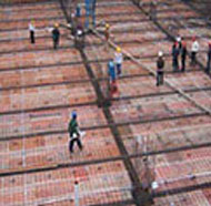 �ػ�����