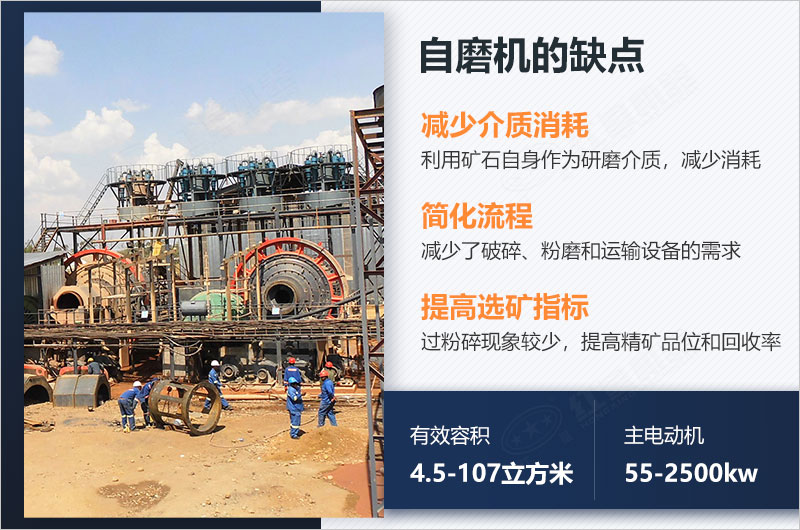 ��ĥ�����ŵ�