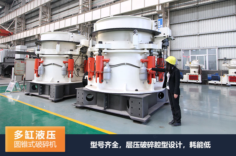 Բ׶ʽ���������Щϵ�У�����ͺż����������Ľ���