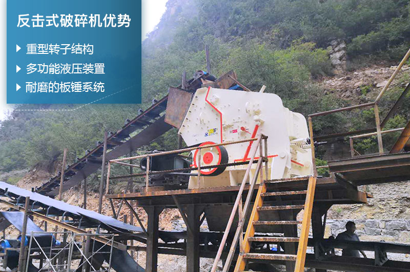 ����ʽ�������������