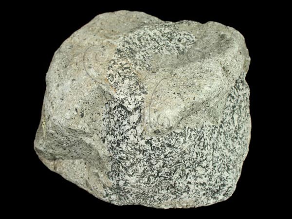 ������ȫ����������ɸ�ֻ���СС��ʯͷʵ���˴�������