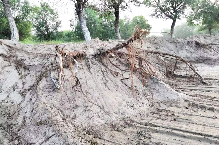 ����ʯ�Ϸ�����۳�ɳ�ӵļ۸��Ƕ��٣��ļҺã�