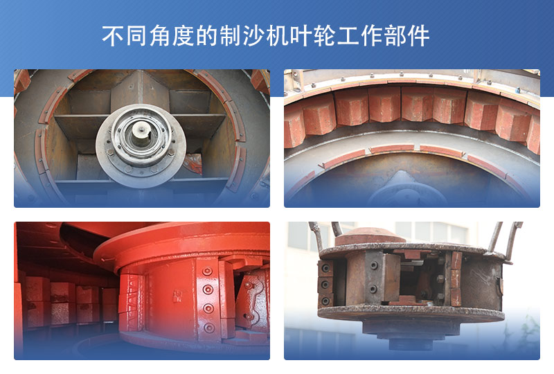 ��ɳ��Ҷ�ֲ���չʾͼ